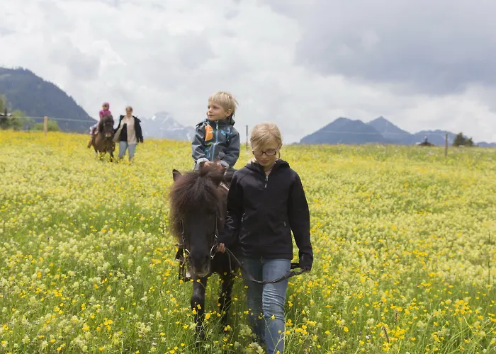 Familotel Alphotel Hotel 4*